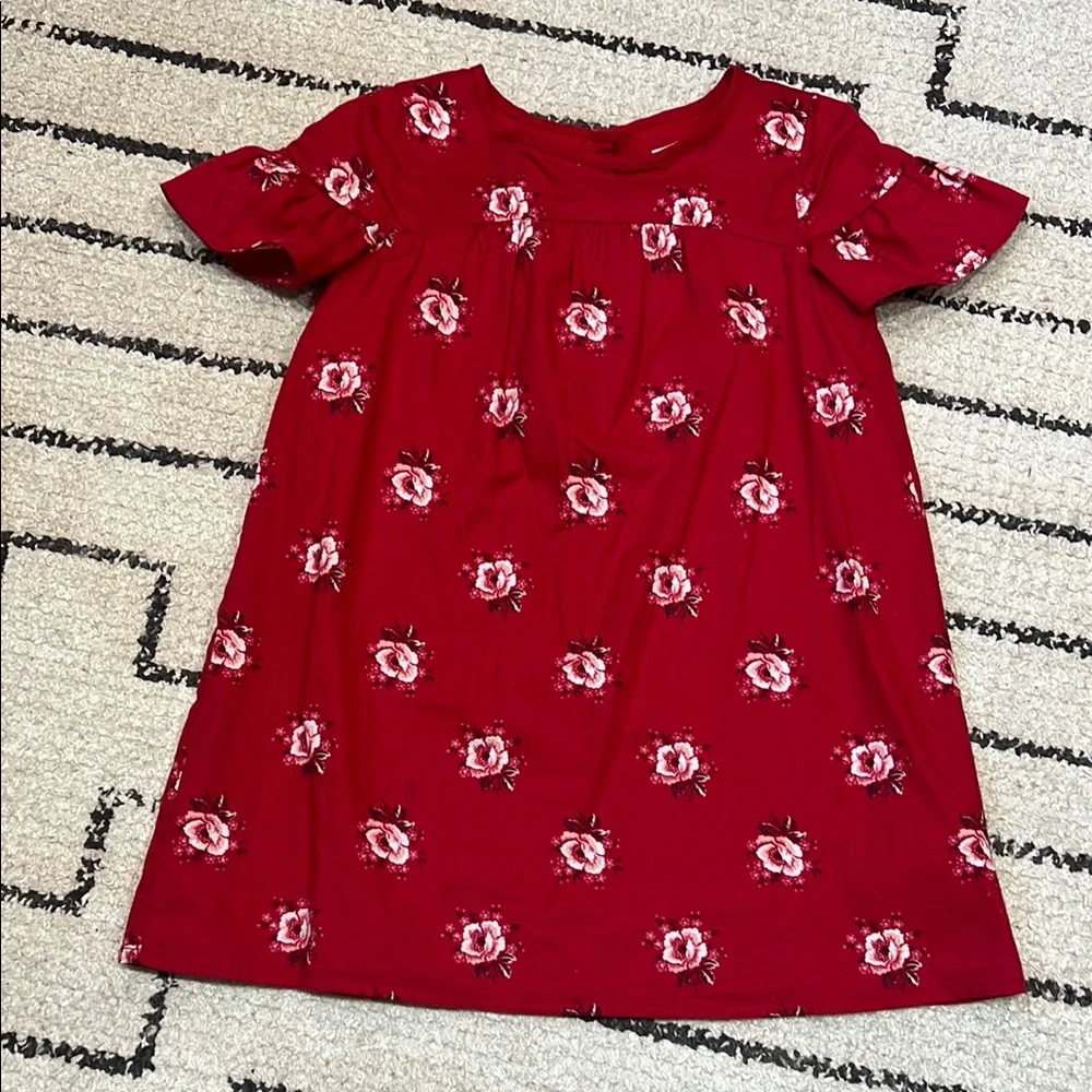 Baby Gap Floral Dress